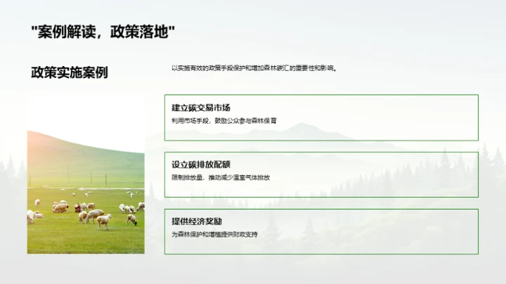 森林碳汇与气候变迁