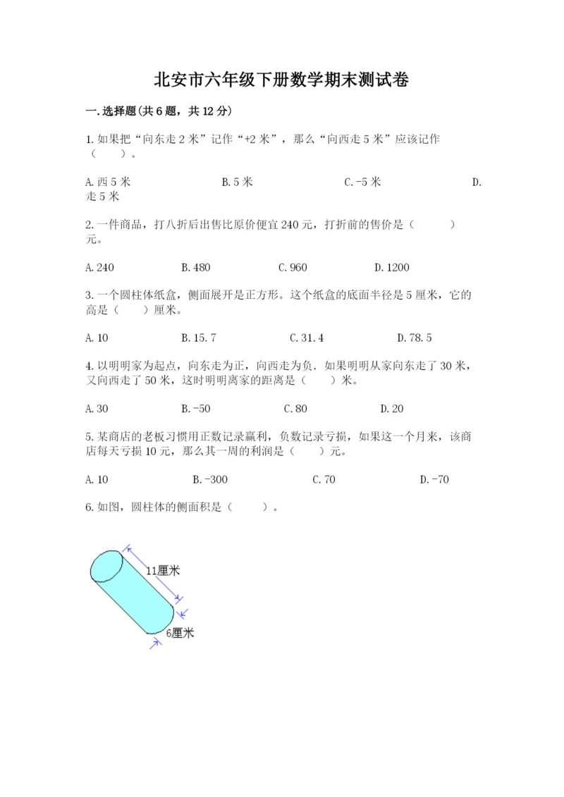 北安市六年级下册数学期末测试卷word.docx