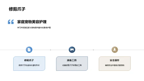 打造家庭宠物美容室