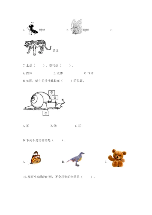 教科版一年级下册科学期末测试卷含完整答案【全优】.docx