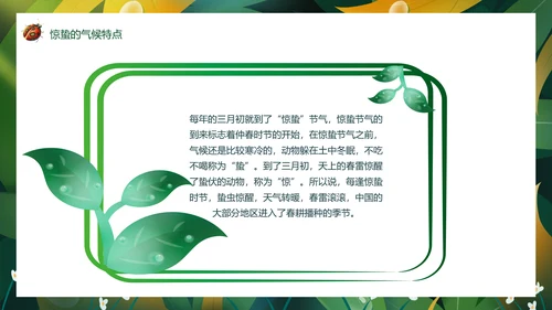 七星瓢虫惊蛰PPT模板