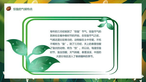 七星瓢虫惊蛰PPT模板