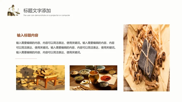 传统中医学中医院中医文化中草药PPT模板