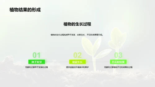 揭秘植物生长