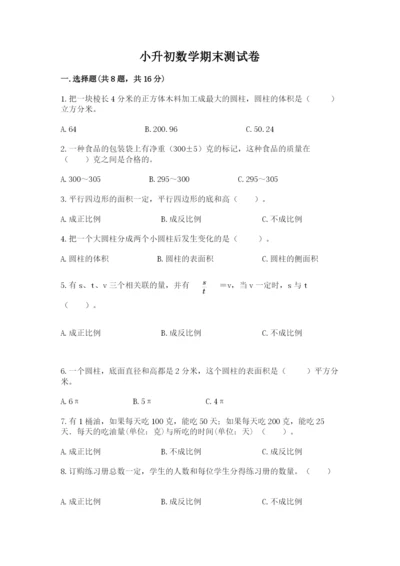 小升初数学期末测试卷（典优）.docx