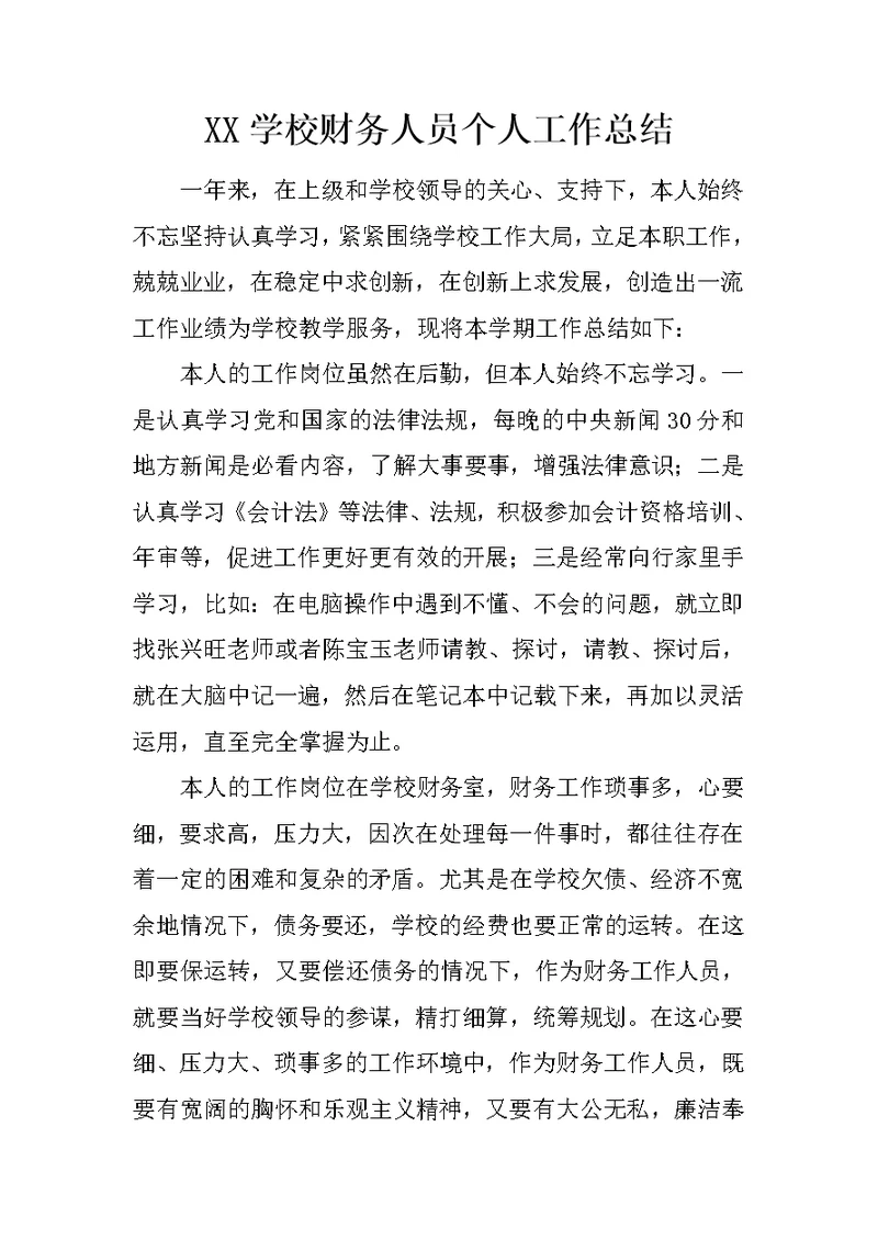 XX学校财务人员个人工作总结