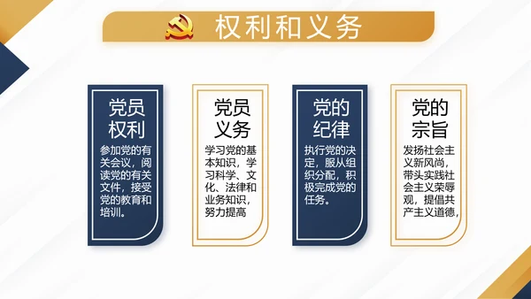 蓝色大气党支部党建年终工作总结述职报告PPT
