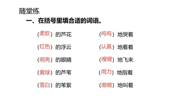 19《小英雄雨来（节选）》课件