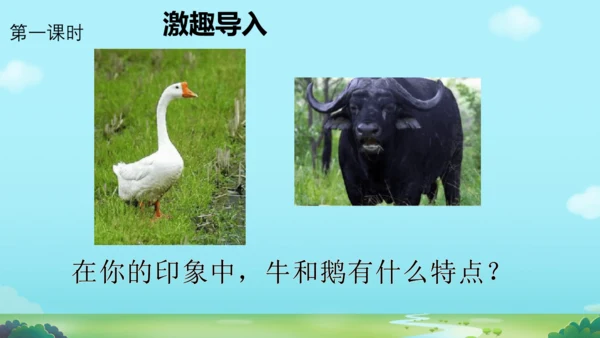 18 牛和鹅   课件