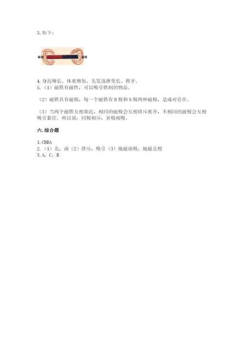 教科版小学科学二年级下册期末测试卷完整答案.docx