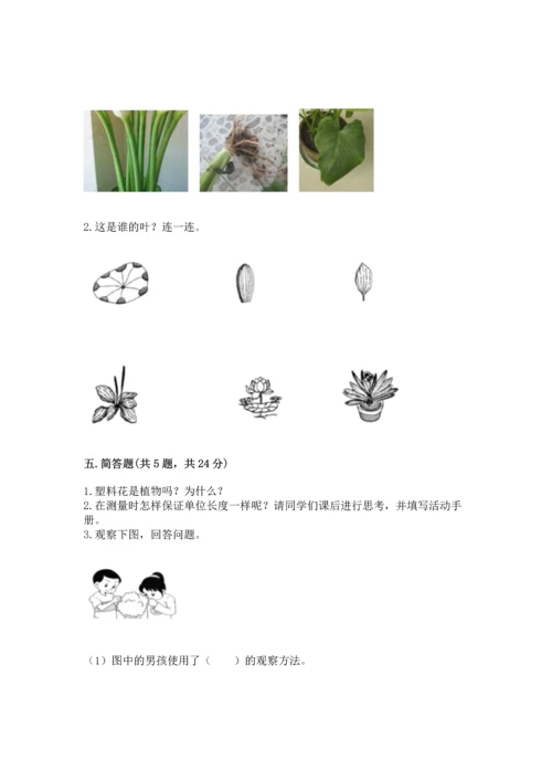 教科版一年级上册科学期末测试卷含答案（培优b卷）.docx