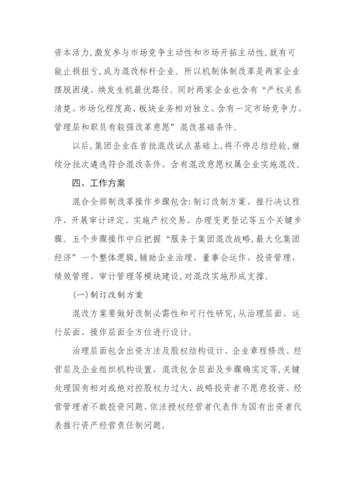 公司混合所有制改革试点工作专业方案.docx