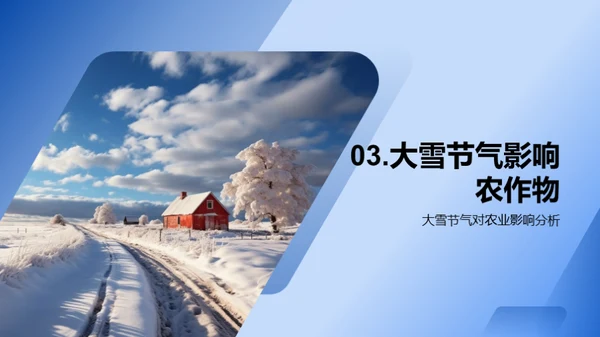 大雪节气与农业策略