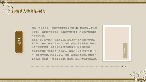 褐色复古中国风中国四大名著之红楼梦人物介绍PPT