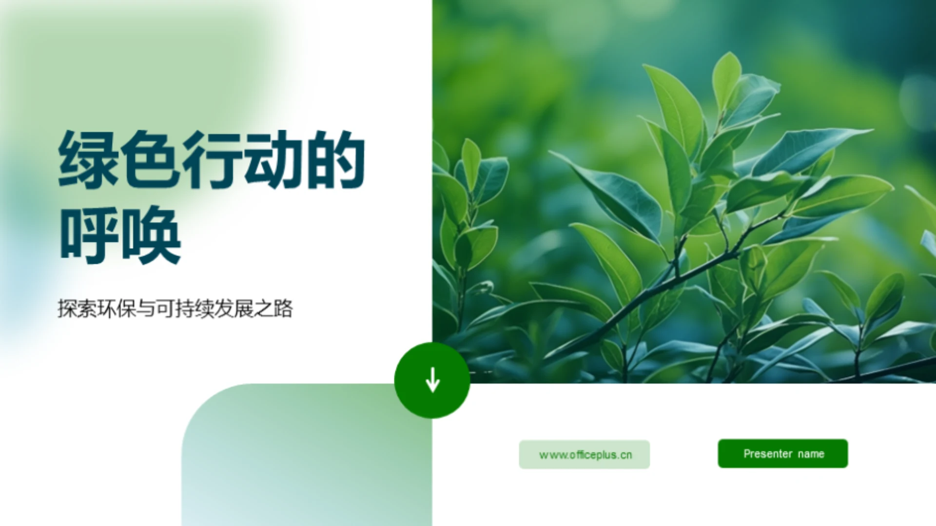 绿色行动的呼唤