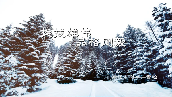 南京介绍城市记忆相册通用PPT模板