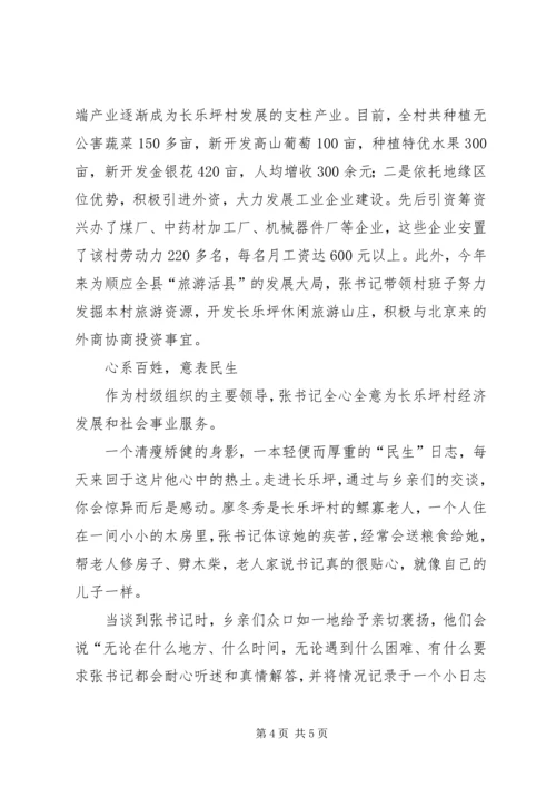 村党支部书记先进事迹材料 (12).docx