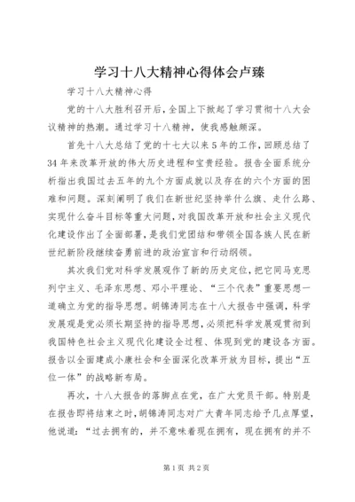 学习十八大精神心得体会卢臻 (5).docx