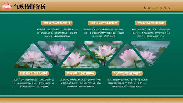 绿色古风二十四节气夏至节气介绍PPT模板