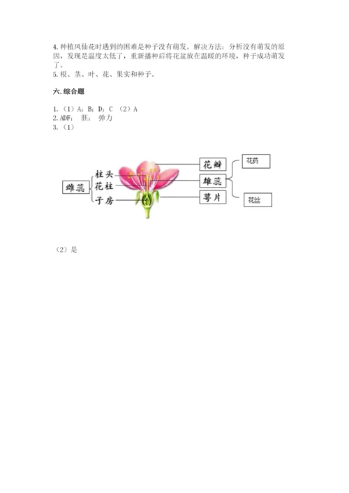 教科版科学四年级下册第一单元《植物的生长变化》测试卷【综合题】.docx
