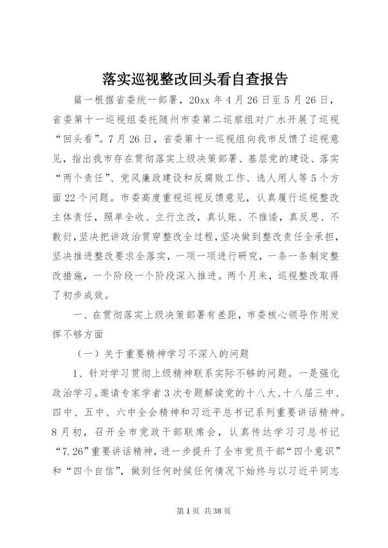 落实巡视整改回头看自查报告 (2).docx