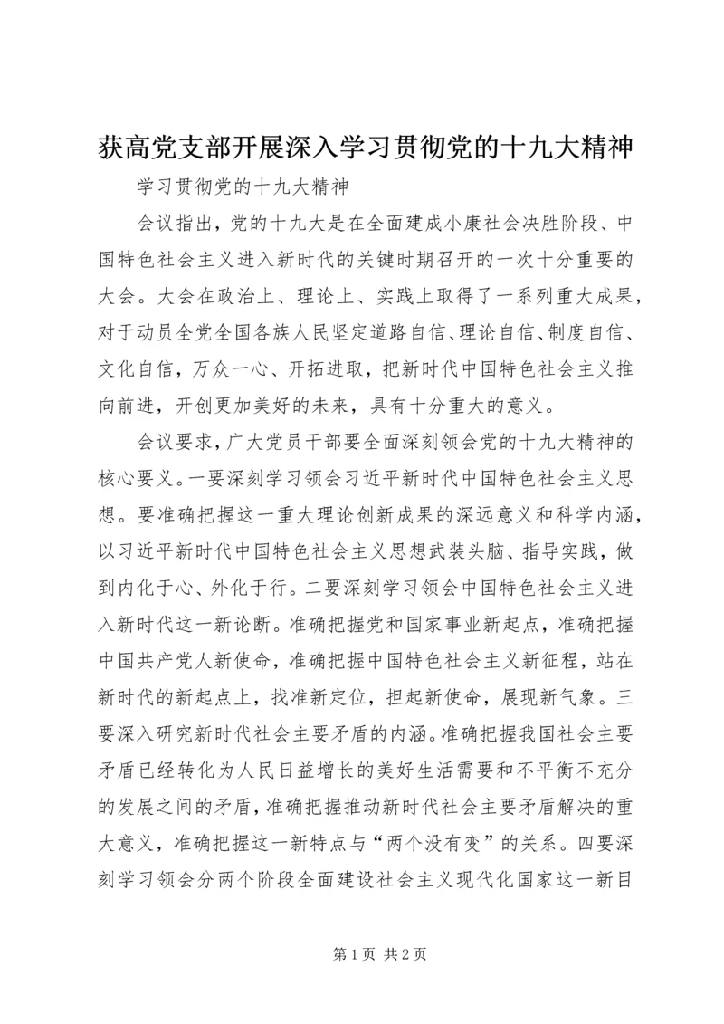 获高党支部开展深入学习贯彻党的十九大精神 (5).docx