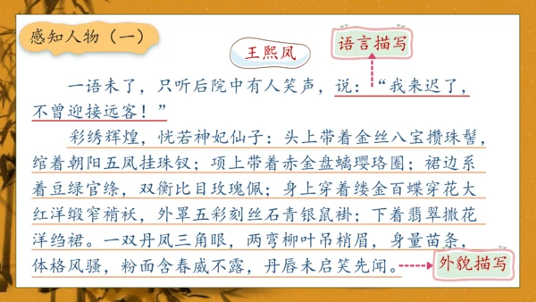 【核心素养】部编版语文五年级下册-8.红楼春趣（课件）