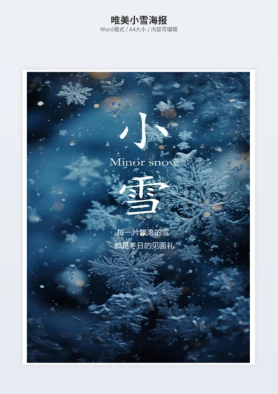 唯美小雪海报