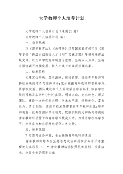 大学教师个人培养计划.docx