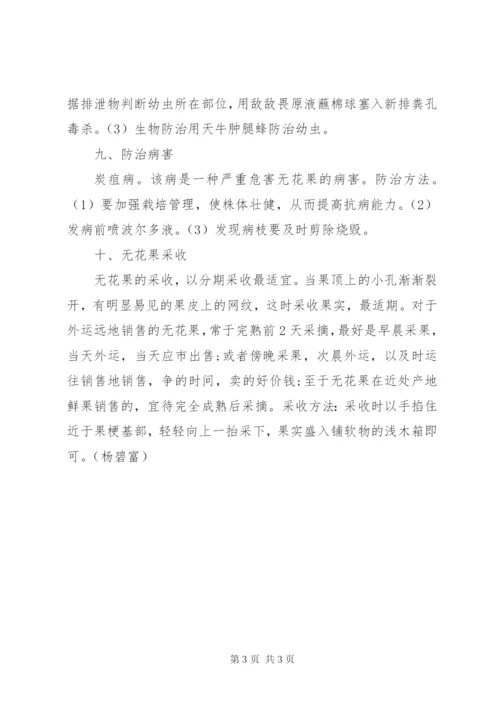 无花果种植可行性报告 (2).docx