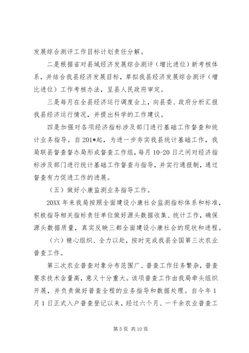 统计局上半年工作总结及下半年工作计划.docx