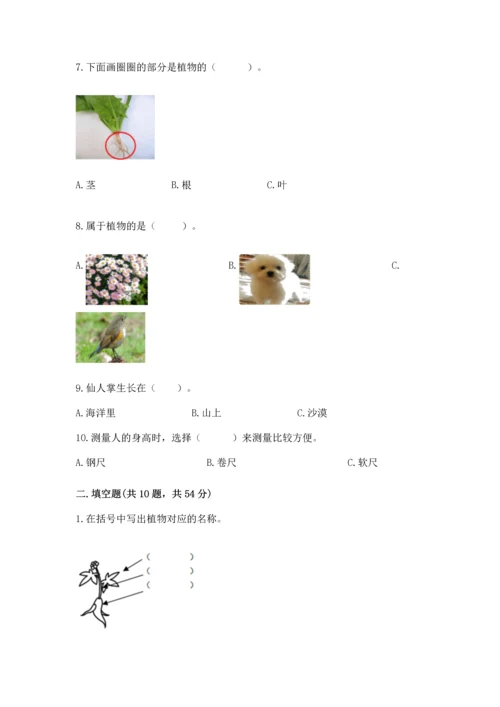 教科版一年级上册科学期末测试卷带精品答案.docx