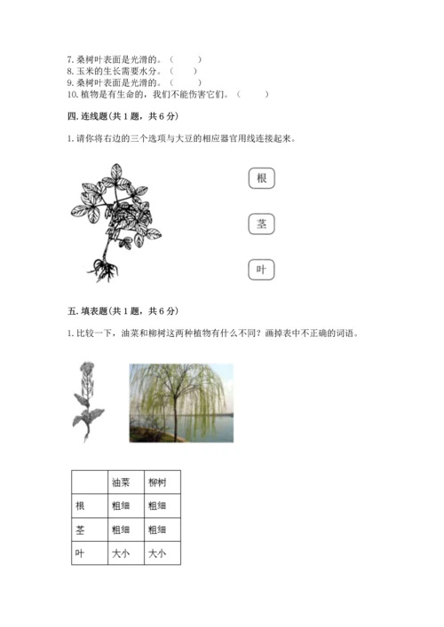 教科版一年级上册科学期末测试卷附完整答案（夺冠系列）.docx