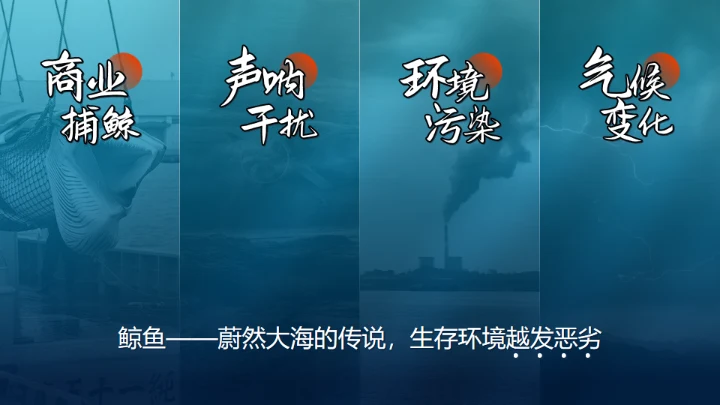 鲸落万物生鲸鱼知识讲座通用PPT模板