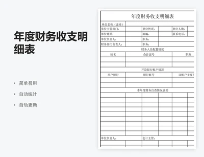 年度财务收支明细表