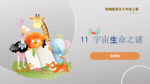 11 宇宙生命之谜   课件