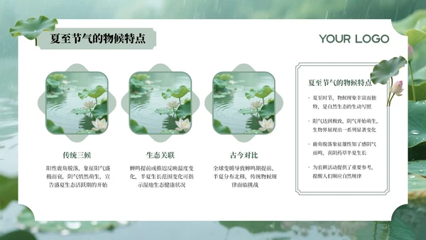 绿色夏至节气介绍通用PPT模板