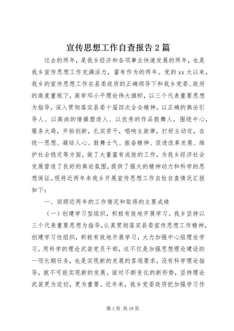 宣传思想工作自查报告2篇 (2).docx