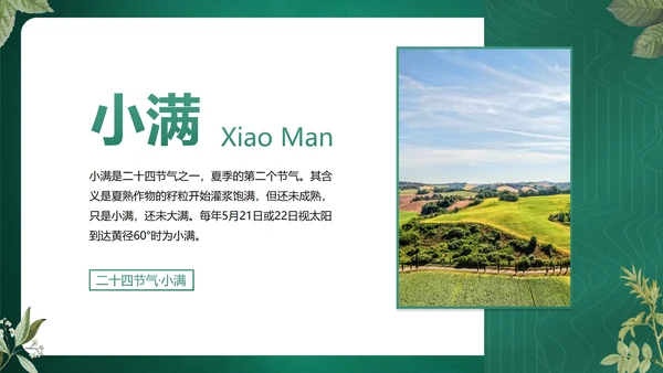 绿色花卉古风传统二十四节气科普主题教育PPT模板