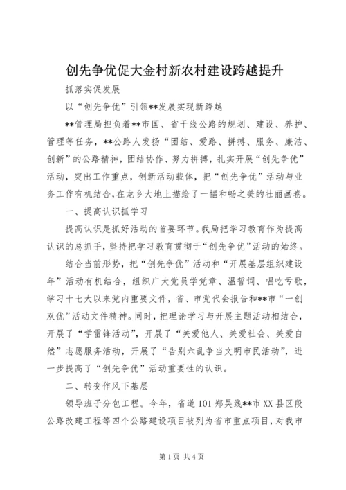 创先争优促大金村新农村建设跨越提升 (4).docx