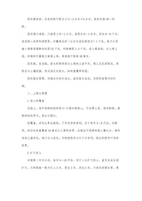 枇杷无公害优质高产栽培技术.docx