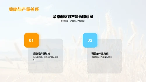 农业经营效益分析