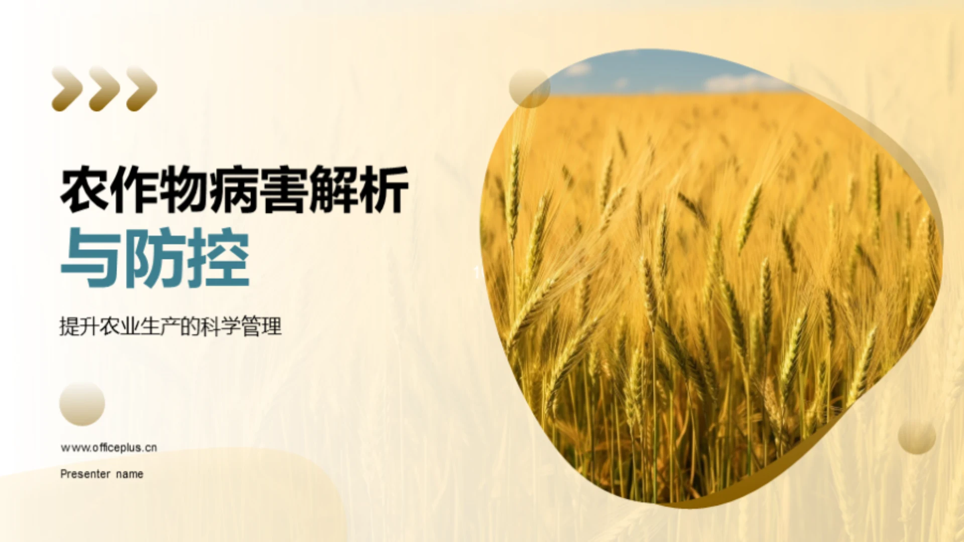 农作物病害解析与防控