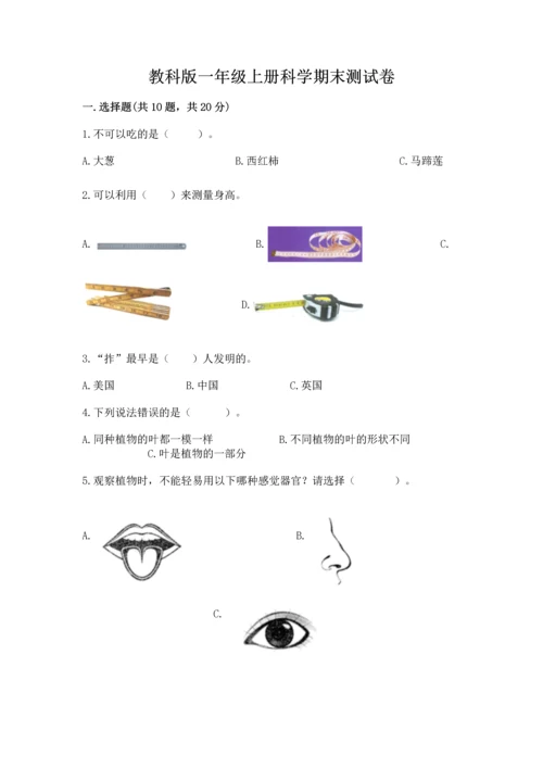 教科版一年级上册科学期末测试卷精品（模拟题）.docx