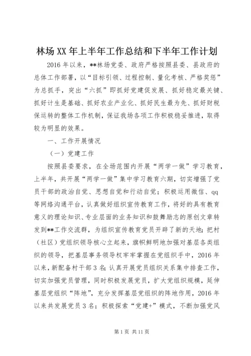 林场XX年上半年工作总结和下半年工作计划_1.docx