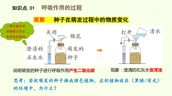 3.2.3呼吸作用-七年级生物下学期同步精品课件（2024人教版）(共24张PPT)