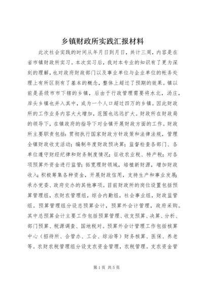 乡镇财政所实践汇报材料.docx