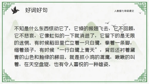 中国山水花鸟山水通用PPT模板