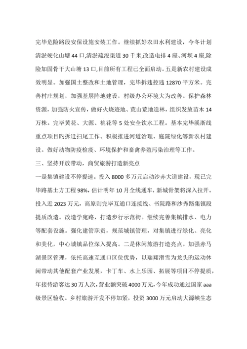 乡镇重点项目年度工作总结.docx