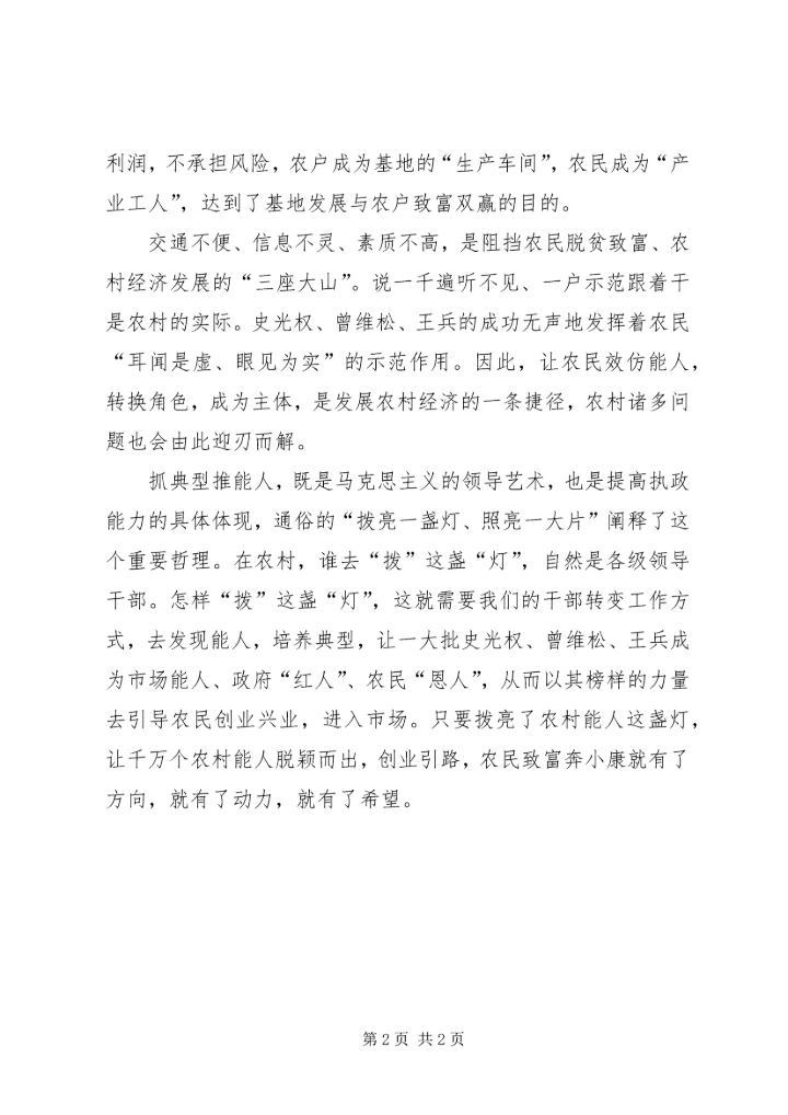 农村能人之我见.docx